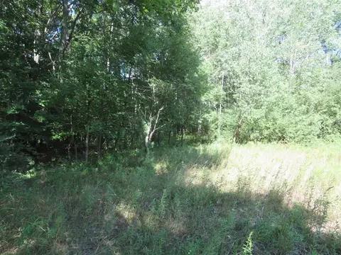 Vl N Felch Avenue, White Cloud, MI 49349 photo 36