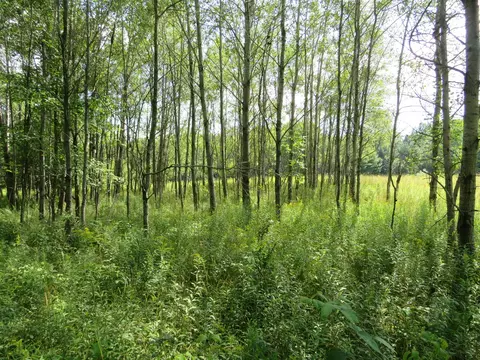 Vl N Felch Avenue, White Cloud, MI 49349 photo 37