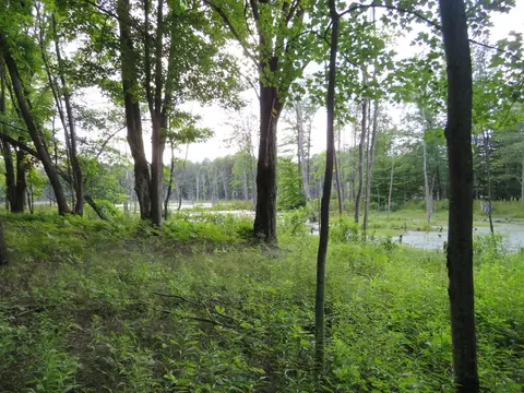Vl N Felch Avenue, White Cloud, MI 49349 photo 10