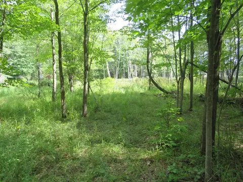 Vl N Felch Avenue, White Cloud, MI 49349 photo 19
