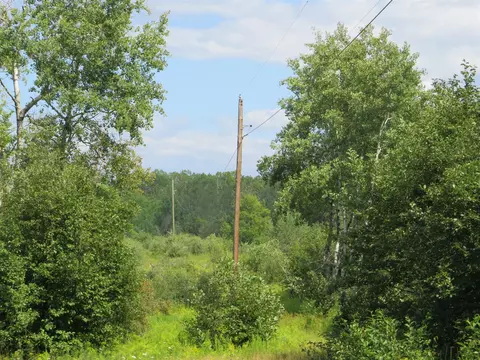 Vl N Felch Avenue, White Cloud, MI 49349 photo 22