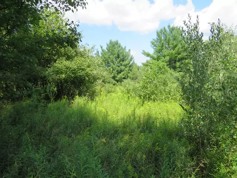 Vl N Felch Avenue, White Cloud, MI 49349 photo 15