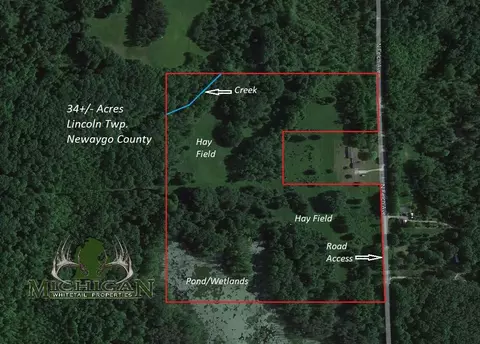 Vl N Felch Avenue, White Cloud, MI 49349