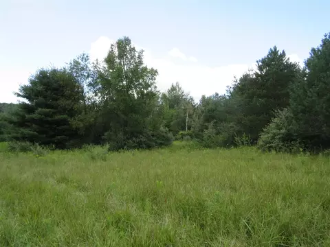 Vl N Felch Avenue, White Cloud, MI 49349 photo 7