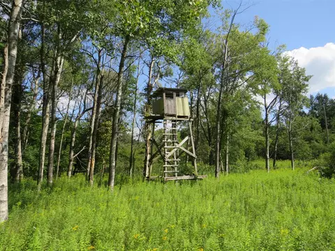 Vl N Felch Avenue, White Cloud, MI 49349 photo 39
