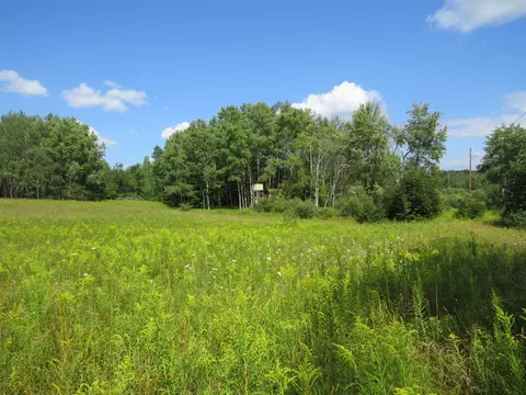 Vl N Felch Avenue, White Cloud, MI 49349 photo 23