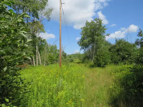 Vl N Felch Avenue, White Cloud, MI 49349 photo 41