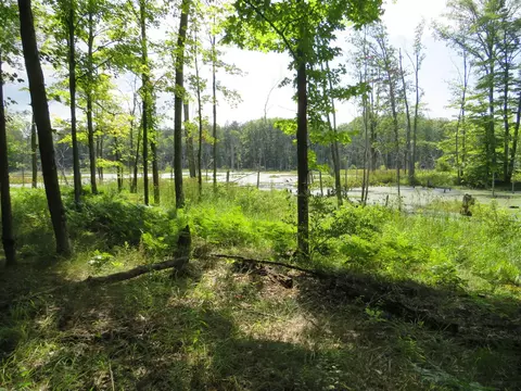 Vl N Felch Avenue, White Cloud, MI 49349 photo 12