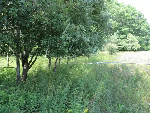 Vl N Felch Avenue, White Cloud, MI 49349 photo 27