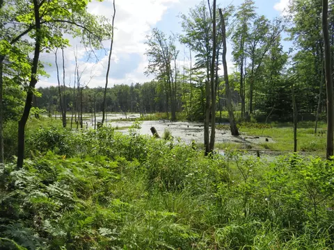 Vl N Felch Avenue, White Cloud, MI 49349 photo 11