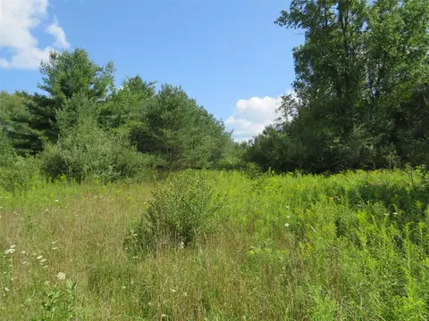 Vl N Felch Avenue, White Cloud, MI 49349 photo 42