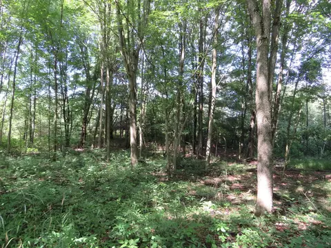 Vl N Felch Avenue, White Cloud, MI 49349 photo 17
