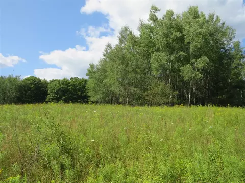 Vl N Felch Avenue, White Cloud, MI 49349 photo 40