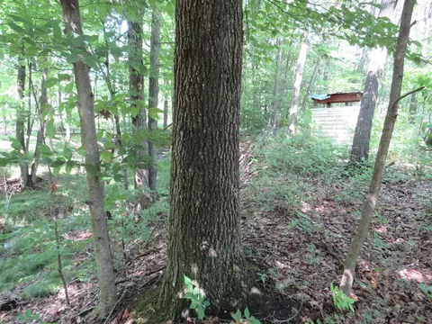 Vl N Felch Avenue, White Cloud, MI 49349 photo 35