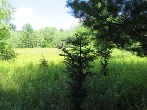 Vl N Felch Avenue, White Cloud, MI 49349 photo 26