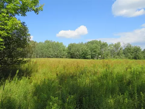 Vl N Felch Avenue, White Cloud, MI 49349 photo 25