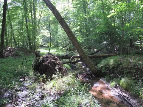 Vl N Felch Avenue, White Cloud, MI 49349 photo 33