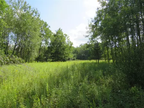 Vl N Felch Avenue, White Cloud, MI 49349 photo 38