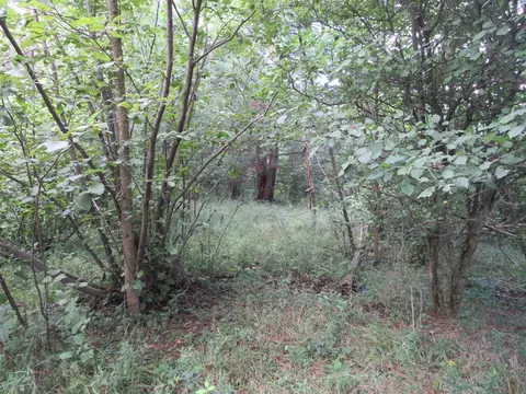Vl N Felch Avenue, White Cloud, MI 49349 photo 9