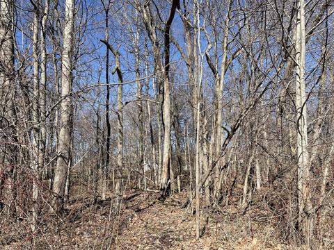dickinson court LOT 9, Saint Joseph, MI 49085 photo 5