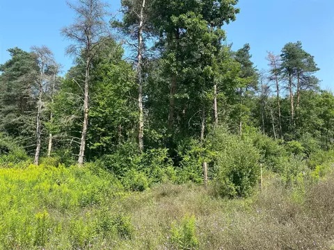 Par 1 Lev Owen, Howard City, MI 49329