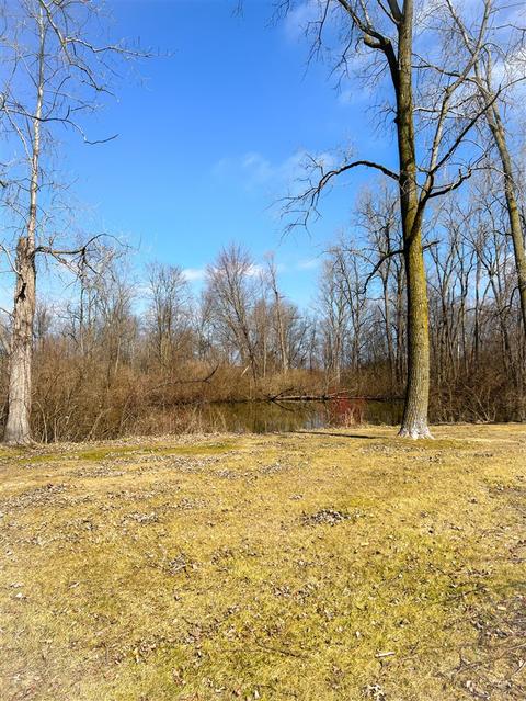 6650 Brooklyn Rd, Jackson, MI 49201 photo 8