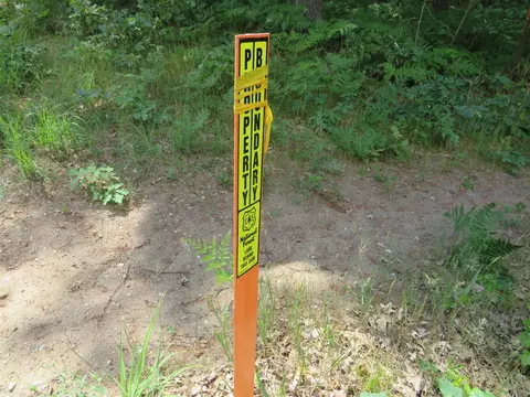 Vl State Road, Chase, MI 49623 photo 3