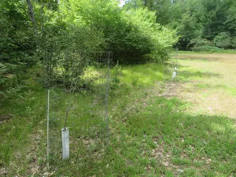 Vl State Road, Chase, MI 49623 photo 30