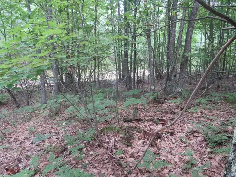 Vl State Road, Chase, MI 49623 photo 19