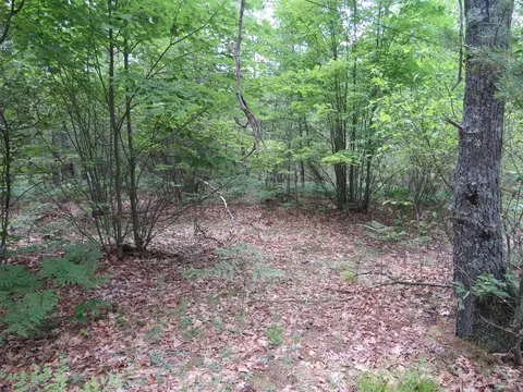 Vl State Road, Chase, MI 49623 photo 20