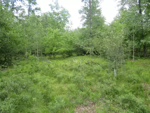 Vl State Road, Chase, MI 49623 photo 38