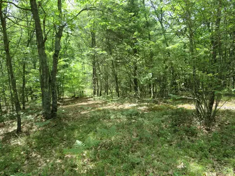 Vl State Road, Chase, MI 49623 photo 22
