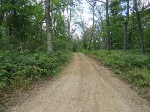 Vl State Road, Chase, MI 49623 photo 5