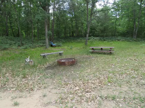 Vl State Road, Chase, MI 49623 photo 8