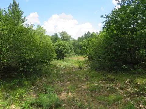 Vl State Road, Chase, MI 49623 photo 32