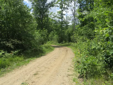 Vl State Road, Chase, MI 49623 photo 12