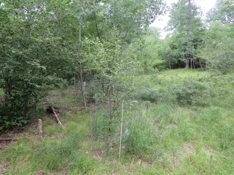 Vl State Road, Chase, MI 49623 photo 37