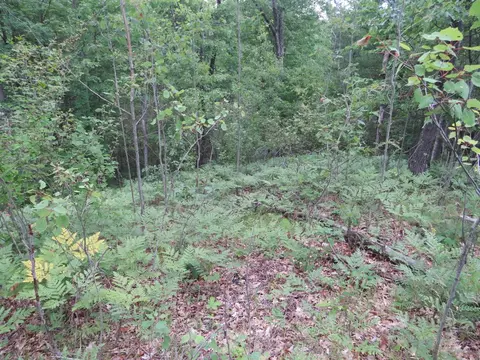 Vl State Road, Chase, MI 49623 photo 35