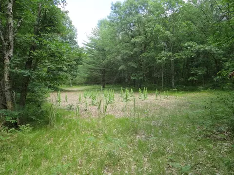 Vl State Road, Chase, MI 49623 photo 42