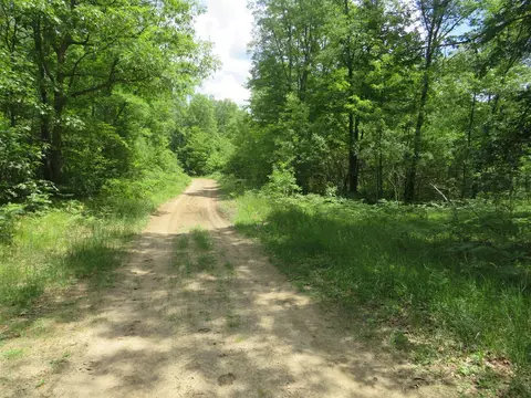 Vl State Road, Chase, MI 49623 photo 6