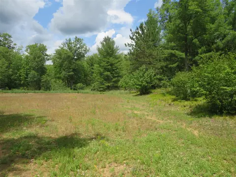 Vl State Road, Chase, MI 49623 photo 29