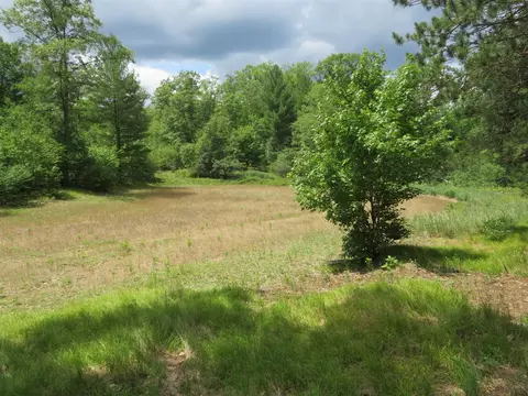 Vl State Road, Chase, MI 49623 photo 28