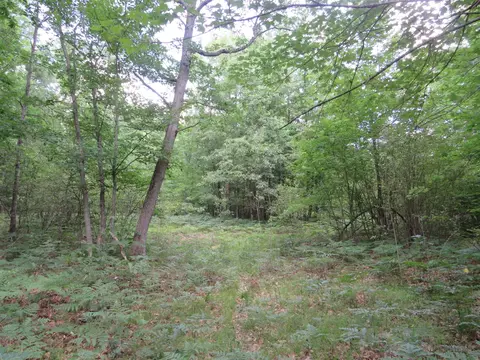 Vl State Road, Chase, MI 49623 photo 14