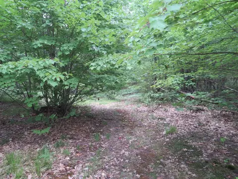Vl State Road, Chase, MI 49623 photo 39