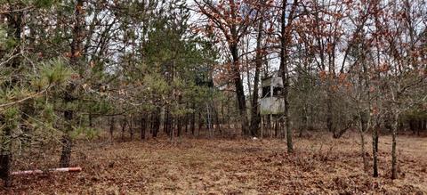 3611 E 8th, White Cloud, MI 49349 photo 24