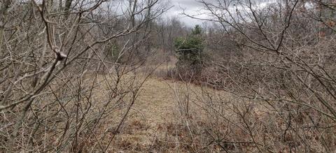 3611 E 8th, White Cloud, MI 49349 photo 23
