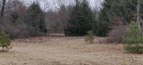3611 E 8th, White Cloud, MI 49349 photo 26