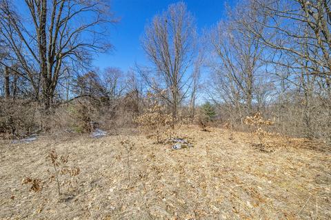 17740 South Riv, Three Rivers, MI 49093 photo 11