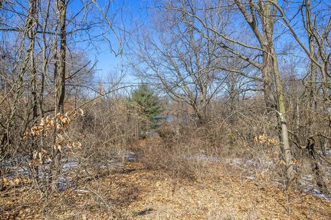 17740 South Riv, Three Rivers, MI 49093 photo 10