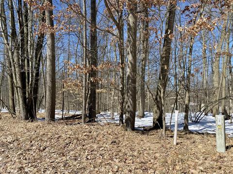 10037 Rising Star Ln, Canadian Lakes, MI 49346
